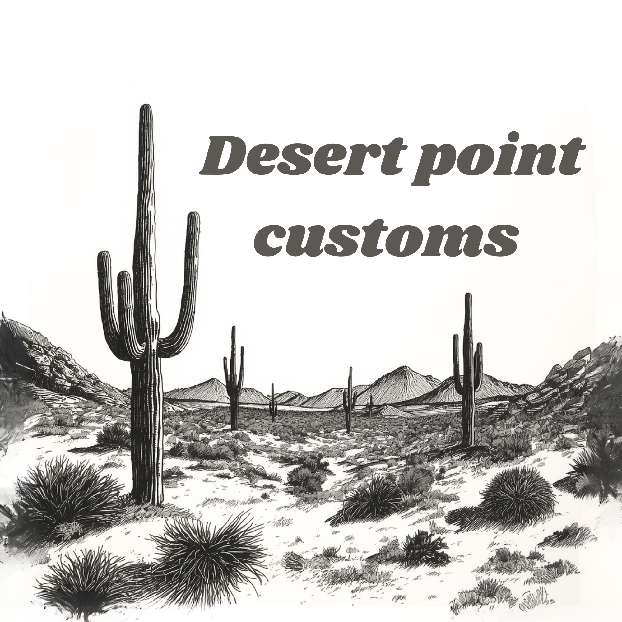 Desert Point Customs